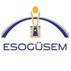 ESOGÜSEM